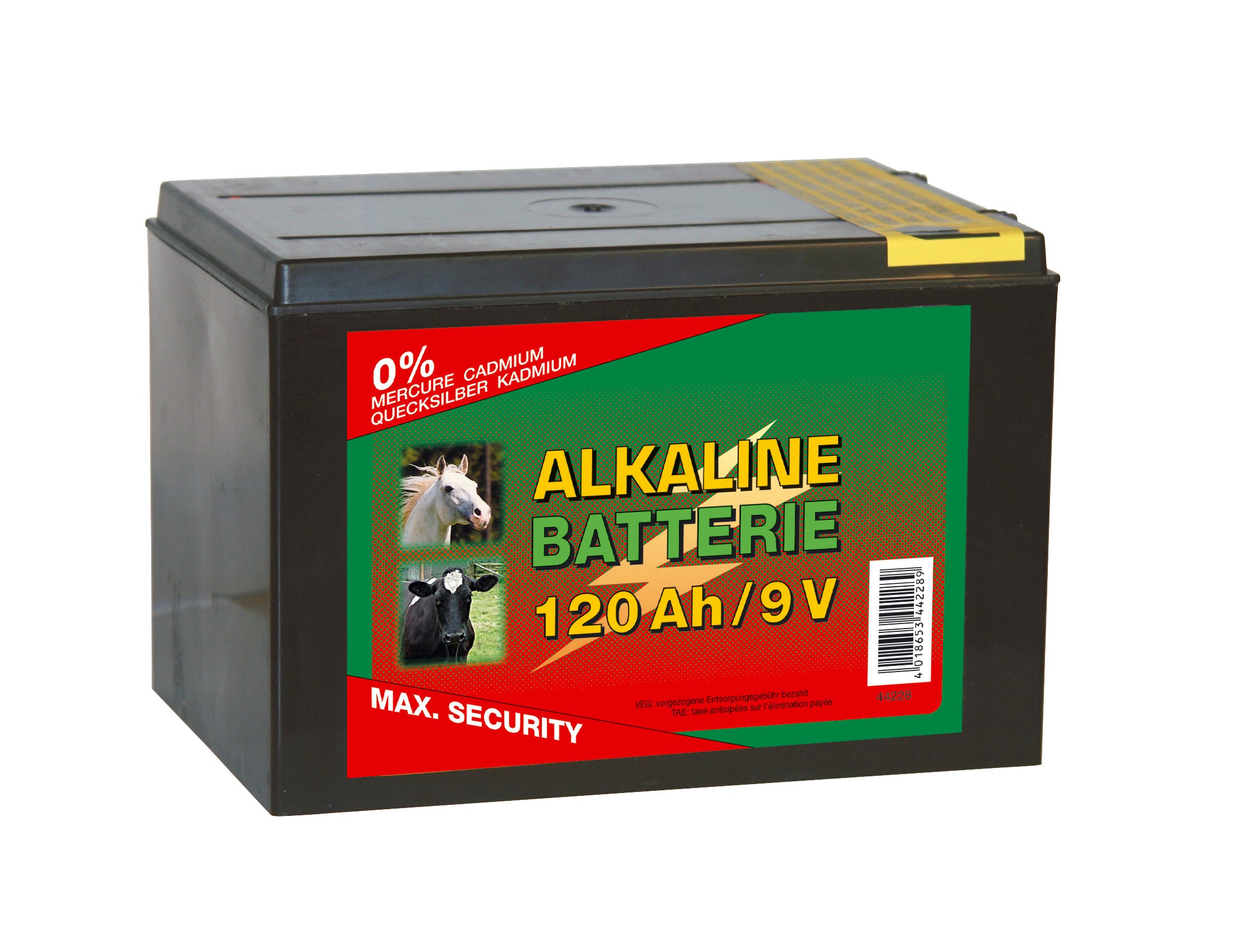 BATTERIA A SECCO ALCALINA 9V  120 Ah