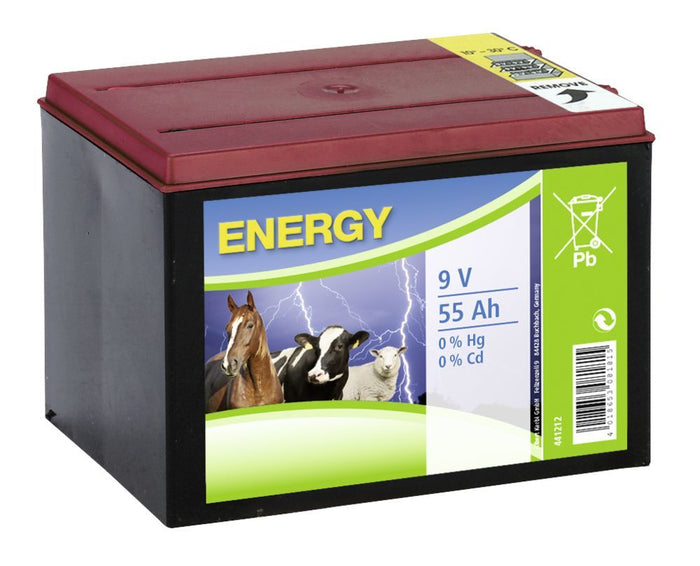 BATTERIA A SECCO ZINCO CARBONIO 9V  55 Ah