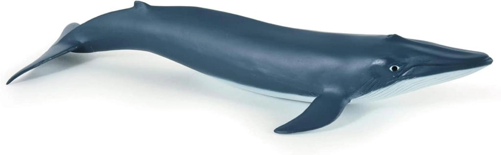 Papo -Dipinta a mano- figurina-Mondo marino-Cucciolo di balena blu-56041-Collezione -Adatto a bambini e bambine - A part