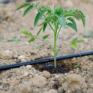 ALA GOCC TANDEM 4 L/H D 16 PASSO 50 ROTOLO 100 M- 1,0 rotoli