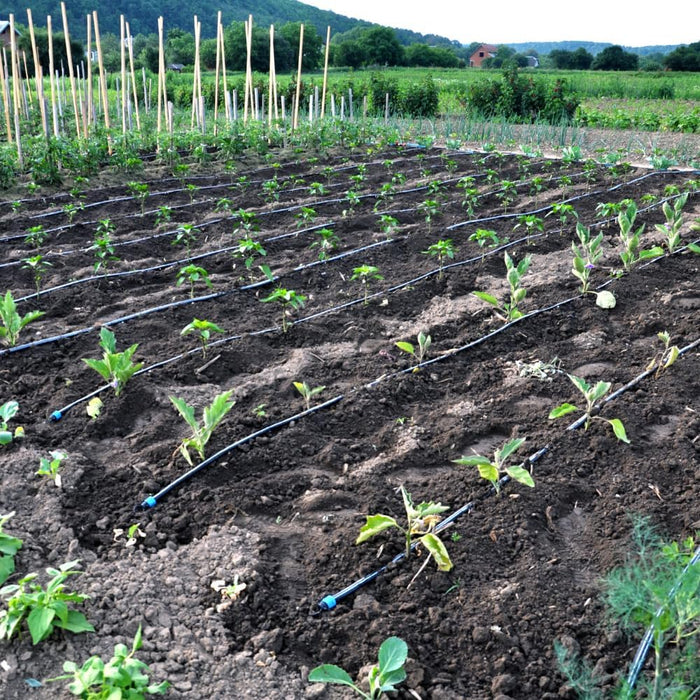 ALA GOCC TANDEM 4 L/H D 16 PASSO 30 ROTOLO 100 M- 1,0 rotoli