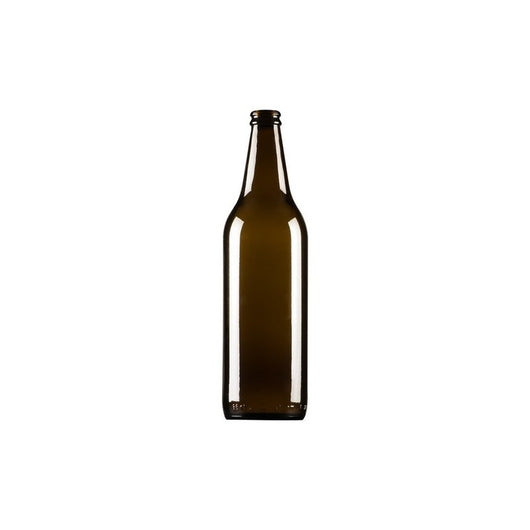 BOTTIGLIA BIRRA ALTA CC.660 PZ.12- 1,0 confezione