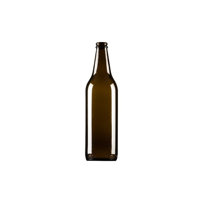 BOTTIGLIA BIRRA ALTA CC.660 PZ.12- 1,0 confezione