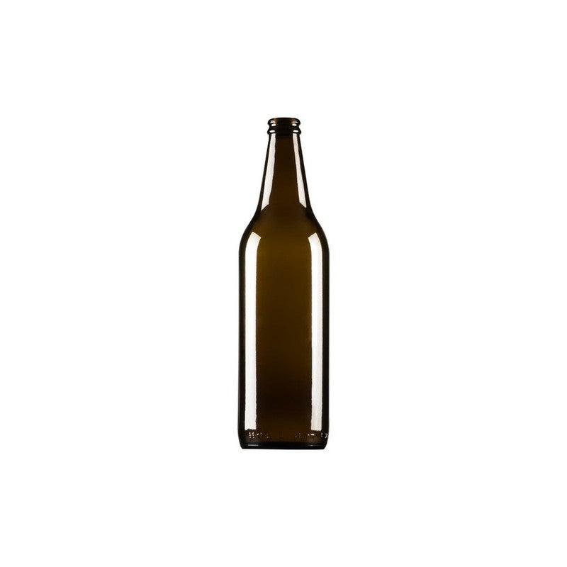 BOTTIGLIA BIRRA ALTA CC.660 PZ.12- 1,0 confezione
