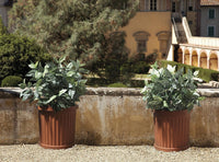 VASO ROMA C/SOTTOVASO 52CM TERRACOTTA- 1,0 confezione