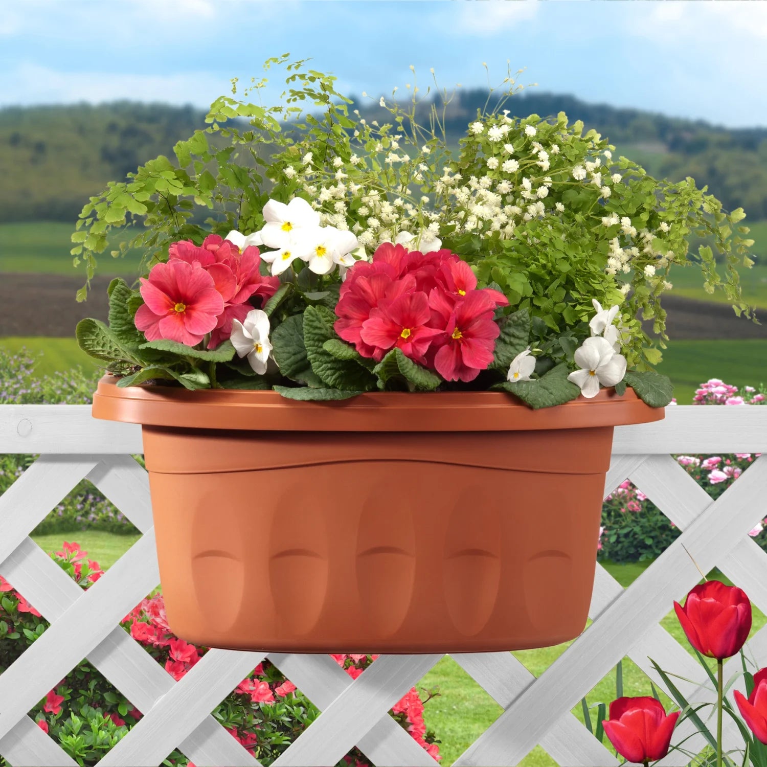 FIORIERA DOPPIA KLUNIA 50CM TERRACOTTA- 1,0 confezione