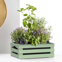 CASSETTA PORTAFIORI 'TINA FLOWER' cm 25 x 15,5 x h.10,5  - BAMA