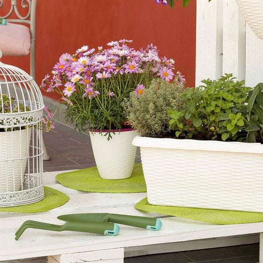 FIORIERA PAGLIA NORMAL BAMA  PP PANNA CM 40X20 H.CM 17,5