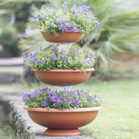 CIOTOLA PER FIORI 'FONTANA' Ø cm 30/40/50 - terracotta  - BAMA