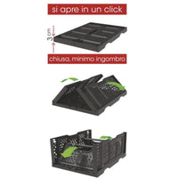 CESTA FRUTTA CASALINGA PIEGHEVOLE APRI/CHIUDI OPLA colore verde BAMA