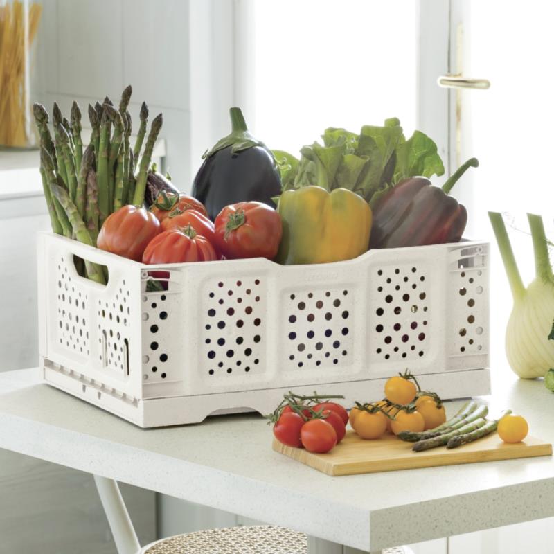 CESTA FRUTTA CASALINGA PIEGHEVOLE APRI/CHIUDI OPLA colore verde BAMA