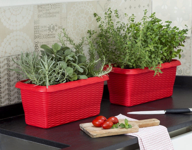 FIORIERA RETTANGOLARE 'PAGLIA' cm 60x20x17,5 lt.11,5 - corallo  - BAMA