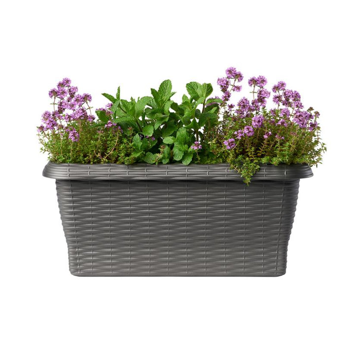 FIORIERA RETTANGOLARE 'PAGLIA' cm 60x20x17,5 lt.11,5 - antracite  - BAMA