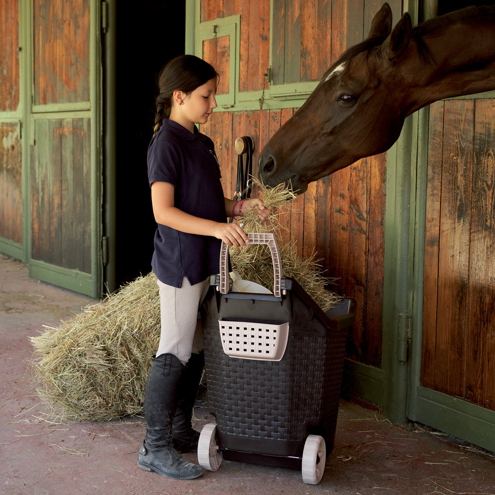 TROLLEY DA GIARDINO 'KART' colore muschio  - BAMA