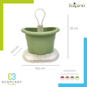 SCOLAPOSATE colore madreperla/verde  - ECOPLAST