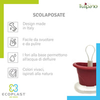 SCOLAPOSATE colore madreperla/verde  - ECOPLAST