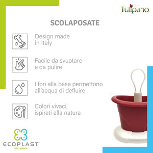 SCOLAPOSATE colore madreperla/verde  - ECOPLAST