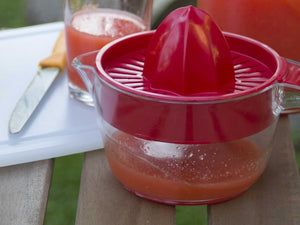 Ecoplast Spremiagrumi Manuale in Plastica con Vaschetta da 0,6 Litri, Colore Ghiaccio, 0,6 Lt