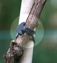 ANCORETTE ELASTICHE CM. 12 , 500 gr. ( circa 135 pz)