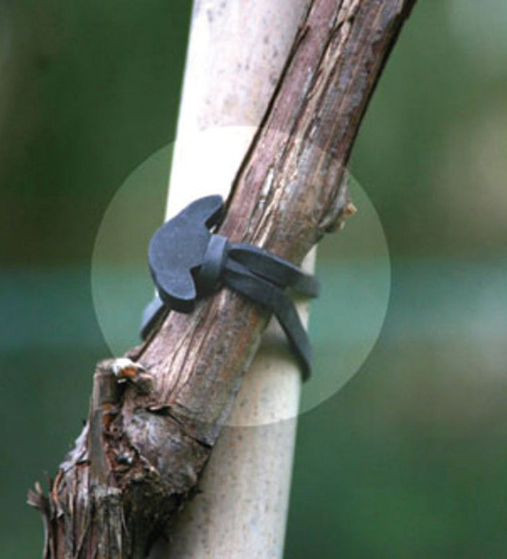 ANCORETTE ELASTICHE CM. 12 , 500 gr. ( circa 135 pz)