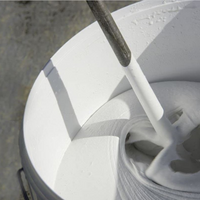 Guaina liquida bianca resingum 2000 impermeabilizzazione terrazze balconi 5 kg