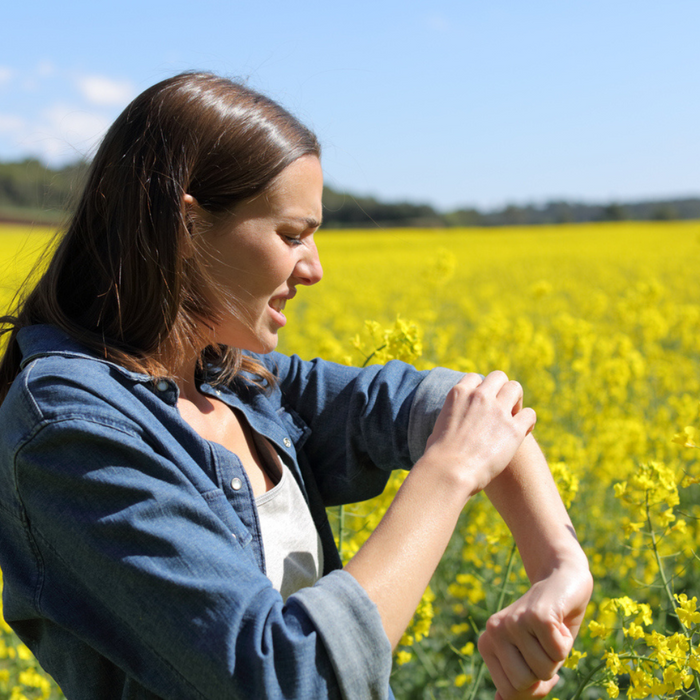 Insetticida universale insetti parassiti spray 750 ml ekokiller 3 pezzi