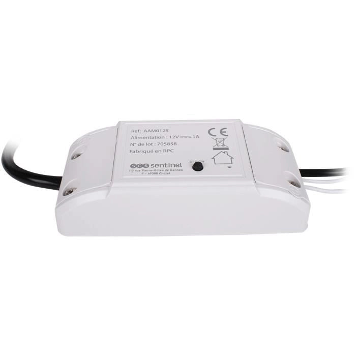 Modulo ricevitore - SCS SENTINEL - WifiGate - Connesso