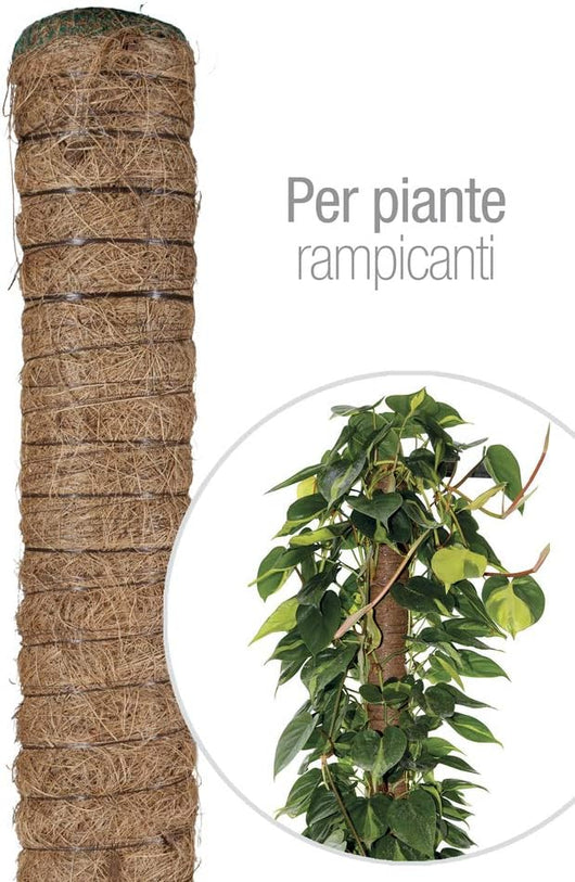 Bastone piante rampicanti Tutore Muschiato con Tubo in plastica e Fibra di Cocco, 80 cm