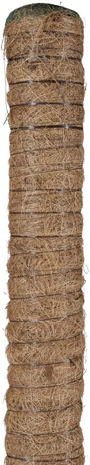 Bastone piante rampicanti Tutore Muschiato con Tubo in plastica e Fibra di Cocco, 80 cm