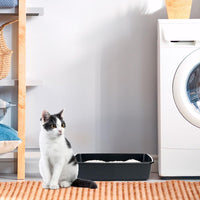 Ferplast Lettiera Gatto, Toilette per Gatti Aperta, con Bordi Alti, 54,5 x 39,5 x h 12,5 cm, NIP 20 Lettiera Animali Domestici, Vari Colori