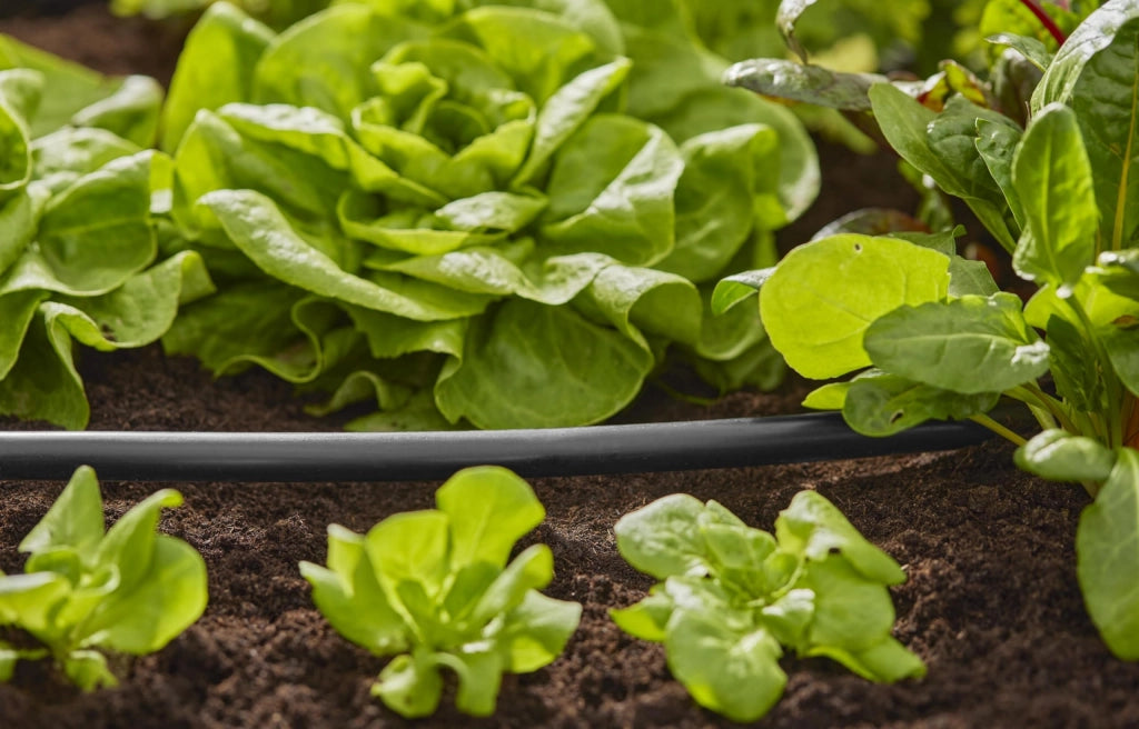 Tubo di Linea per Microirrigazione per Tubo da 1/2 in Rotoli da 20 m