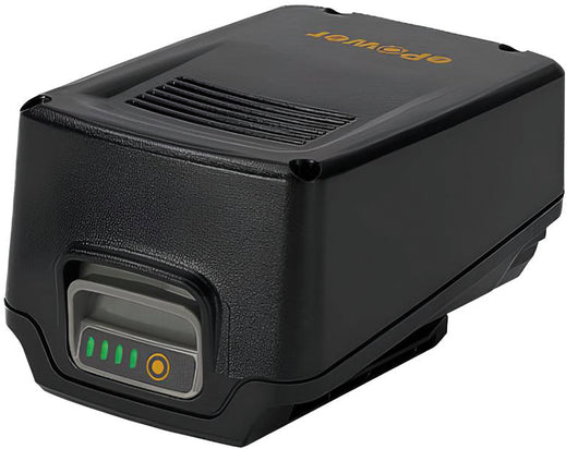 Alpina BATTERIA E24 20 V - 4,0 Ah