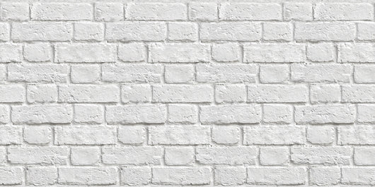 LASTRA DECORATIVA SERIGRAFATA cm. 50x100 - Effetto Muro 15.00 pz