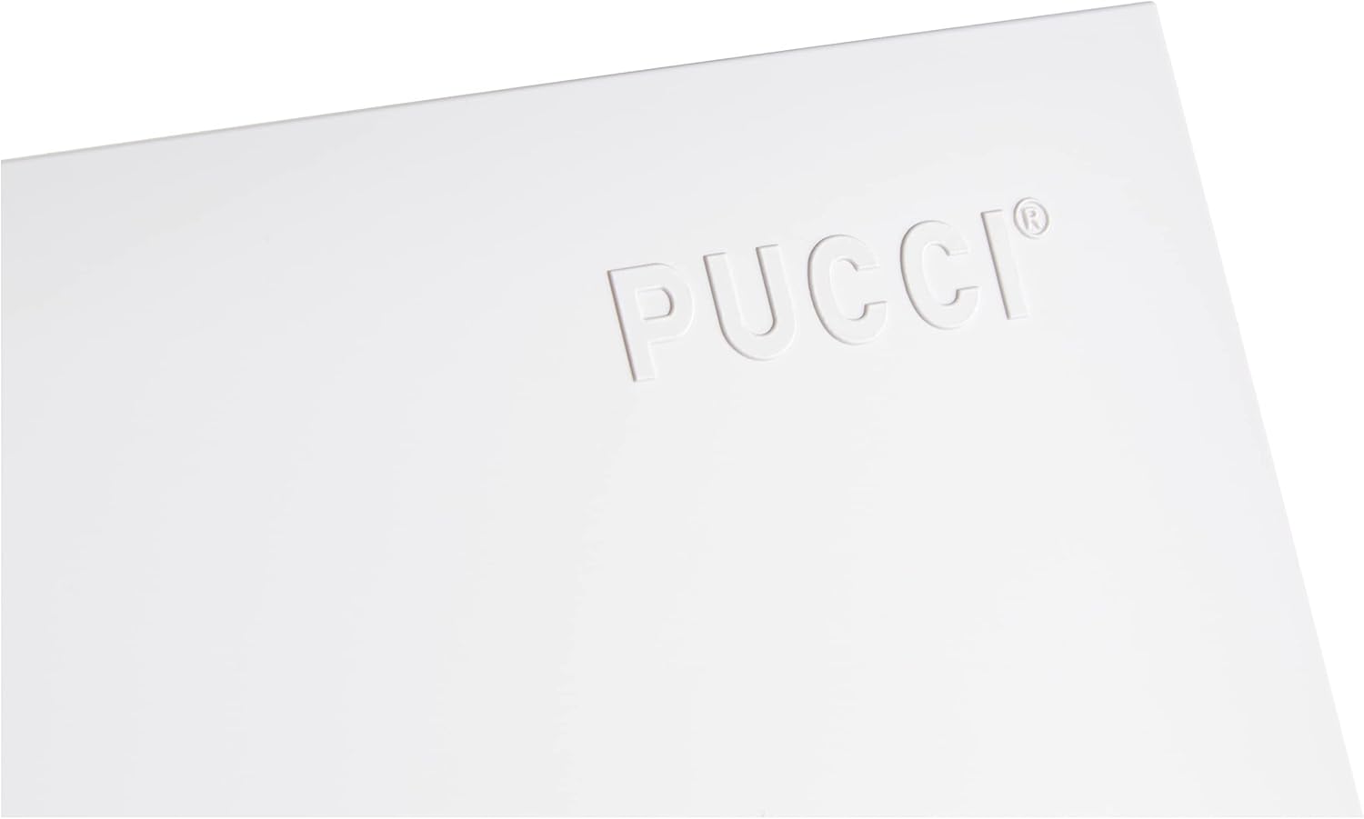 PLACCA PER CASSETTA INCASSO PUCCI ECO 2 PULSANTI LINEA MOD.2014- Bianca- PUCCI- pezzi 1