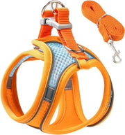 Kit di guinzaglio e cintura per l'uscita di gattini e cuccioli. Cintura anti-fuga per gattini, respirabile, leggera, con tessuto mesh morbido e un design a slitta regolabile e riflettente. (XXS, arancione)