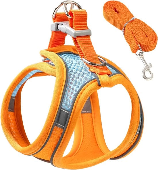 Kit di guinzaglio e cintura per l'uscita di gattini e cuccioli. Cintura anti-fuga per gattini, respirabile, leggera, con tessuto mesh morbido e un design a slitta regolabile e riflettente. (XXS, arancione)
