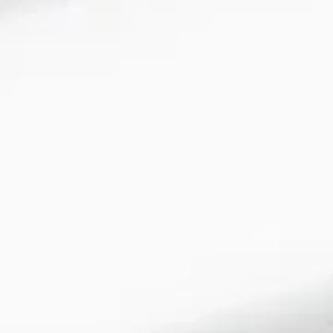 PLACCA DI COMANDO 2 TASTI OMEGA 20- Bianca - bordi tasti cromo geberit