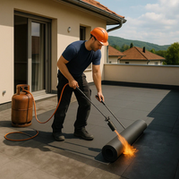 Guaina ardesiata grigia casasciutta impermeabilizzazione terrazze 3 rotoli 1x10 m