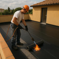 Membrana bituminosa impermeabilizzante casasciutta 4 kg/mq -5°c 10 rotoli 1x10 m