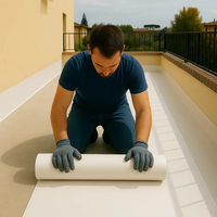 Guaina autoadesiva ardesiata bianca 4 kg/m² casasciutta 8 rotoli 1 x 10 m