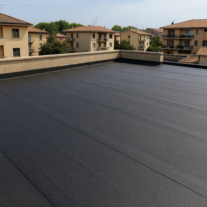 Guaina bituminosa poliestere 4 mm impermeabilizzante casasciutta 9 rotoli 1x10 m