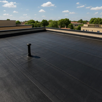 Guaina bituminosa poliestere 4 mm impermeabilizzante casasciutta 9 rotoli 1x10 m