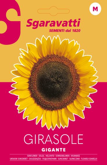 SEMI PER PRATO UNIVERSALE girasole gigante- 20 pezzi  - SGARAVATTI