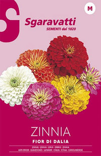 SEMI PER PRATO UNIVERSALE zinnia fior di dahlia- 20 pezzi  - SGARAVATTI