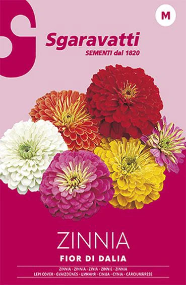 SEMI PER PRATO UNIVERSALE zinnia fior di dahlia- 20 pezzi  - SGARAVATTI