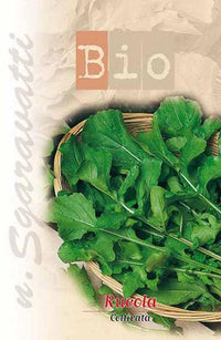 SEMI PER ORTAGGI E VEGETALI rucola coltivata- 20 pezzi  - SGARAVATTI