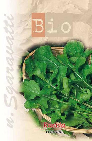SEMI PER ORTAGGI E VEGETALI rucola coltivata- 20 pezzi  - SGARAVATTI