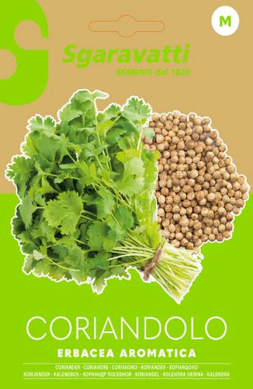 SEMI PER ORTAGGI E VEGETALI coriandolo- 10 pezzi  - SGARAVATTI