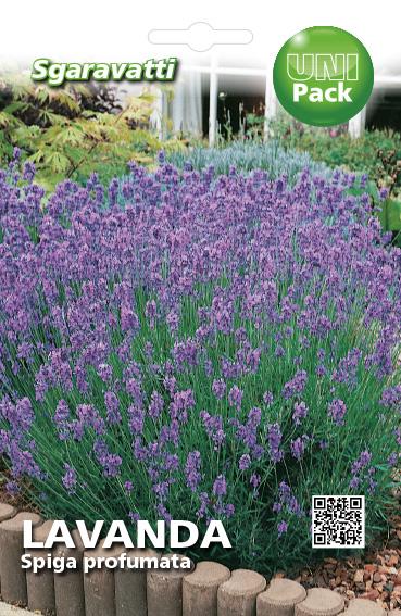 SEMI PER ORTAGGI E VEGETALI lavanda spiga- 20 pezzi  - SGARAVATTI