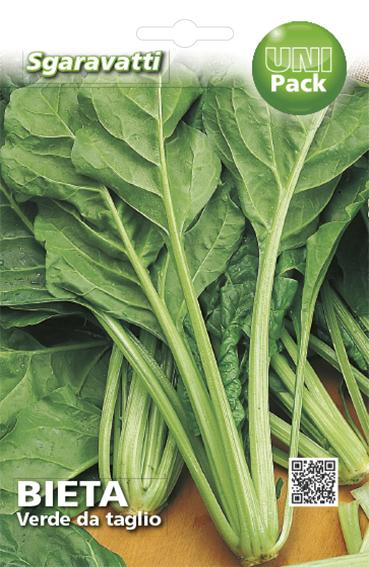 SEMI PER ORTAGGI E VEGETALI bieta liscia verde da taglio- 10 pezzi  - SGARAVATTI